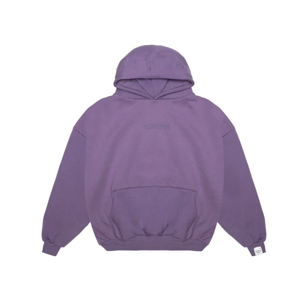 Your fear of looking stupid is holding you back hoodie–Purple Your fear of looking stupid is holding you back hoodie–Purple